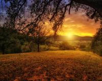 Meadow at sunset Meadow at sunset
